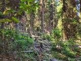 0 XX East Fork Cougar Creek Road - Photo 13