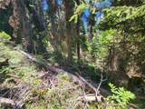 0 XX East Fork Cougar Creek Road - Photo 14