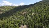 0 XX East Fork Cougar Creek Road - Photo 21