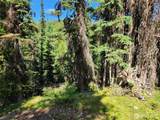 0 XX East Fork Cougar Creek Road - Photo 8