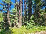 0 XX East Fork Cougar Creek Road - Photo 9
