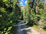 0 XX East Fork Cougar Creek Road - Photo 10