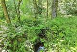 0 Fern Meadow Road - Photo 11
