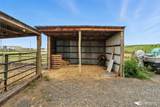 538 Burnap Road - Photo 35