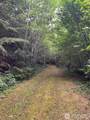 0 Cougar Smith Road - Photo 7