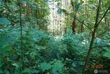 1 Duncan Creek Road - Photo 14
