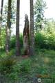 1 Duncan Creek Road - Photo 18