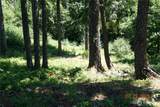 1 Duncan Creek Road - Photo 19