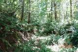 1 Duncan Creek Road - Photo 22