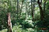 1 Duncan Creek Road - Photo 23