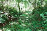 1 Duncan Creek Road - Photo 25