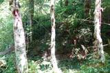 1 Duncan Creek Road - Photo 31