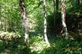 1 Duncan Creek Road - Photo 32