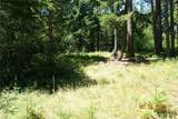 1 Duncan Creek Road - Photo 9
