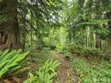 10307 Paradise Cove Lane (5 Lots) - Photo 14