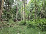 10307 Paradise Cove Lane (5 Lots) - Photo 16