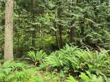10307 Paradise Cove Lane (5 Lots) - Photo 18