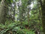 10307 Paradise Cove Lane (5 Lots) - Photo 20