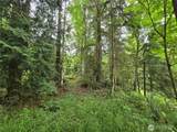 10307 Paradise Cove Lane (5 Lots) - Photo 21