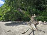 10307 Paradise Cove Lane (5 Lots) - Photo 27