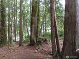 0 Lot 15 Tog Road - Photo 1