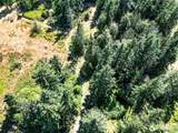 2222 Bagley Creek Road - Photo 37