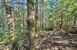 5503 Lackey Court - Photo 13