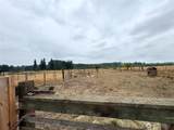 247 Big Hanford Road - Photo 37