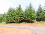 0 Lot E Mill Creek Lane - Photo 21