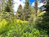 0 Lambert Creek Road - Photo 15
