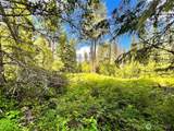 0 Lambert Creek Road - Photo 18