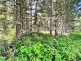 0 Lambert Creek Road - Photo 19