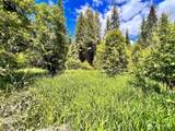 0 Lambert Creek Road - Photo 3