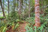 1550 Slide Creek Road - Photo 12
