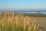 1501 Beach Glass Lane - Photo 4