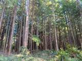 0 Hwy 101 Forks - Photo 3