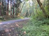 0 Hwy 101 Forks - Photo 7