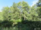 0 Salmon Creek Road - Photo 12