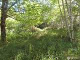0 Salmon Creek Road - Photo 13