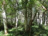 0 Salmon Creek Road - Photo 14