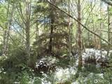 0 Salmon Creek Road - Photo 15