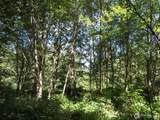 0 Salmon Creek Road - Photo 18