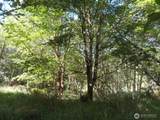 0 Salmon Creek Road - Photo 3