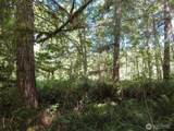 0 Salmon Creek Road - Photo 5
