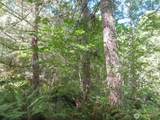0 Salmon Creek Road - Photo 6