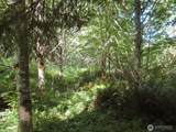 0 Salmon Creek Road - Photo 7