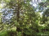 0 Salmon Creek Road - Photo 8