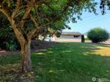 1308 83rd Avenue - Photo 15