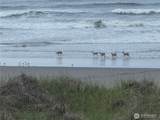 1317 Ocean Shores Boulevard - Photo 22