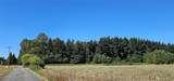 12624 183rd Avenue - Photo 2